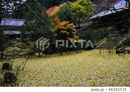 戒長寺 戒長寺 46292535