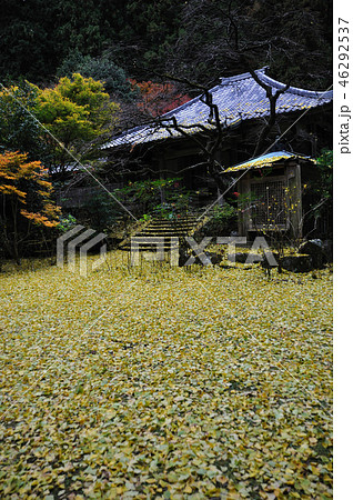 戒長寺 戒長寺 46292537