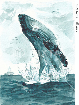 クジラ 水彩画 イラストのイラスト素材