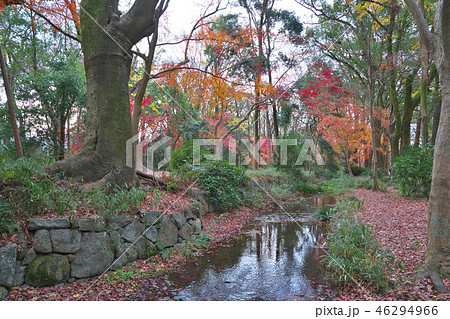 晩秋の下鴨神社 晩秋の下鴨神社 46294966