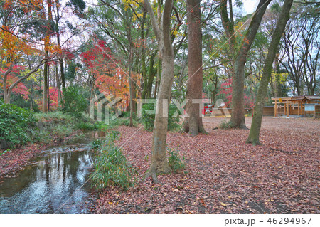 晩秋の下鴨神社 晩秋の下鴨神社 46294967