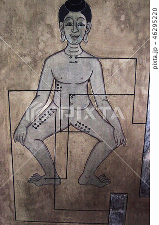タイ・バンコクWat Pho東屋の壁画・医療のツボ人体図 46295220