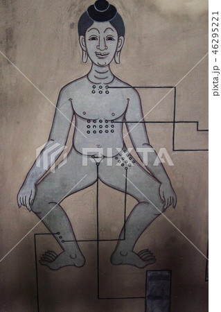 タイ・バンコクWat Pho東屋の壁画・医療のツボ人体図 46295221