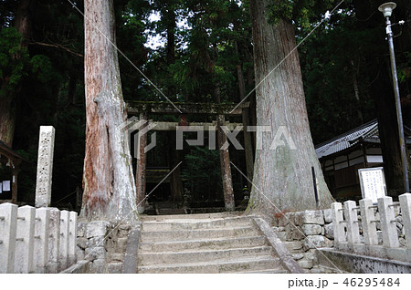 室生龍穴神社 46295484