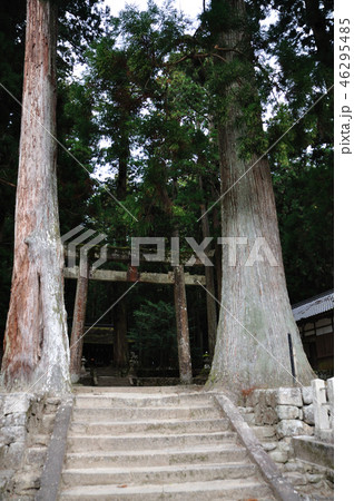室生龍穴神社 46295485