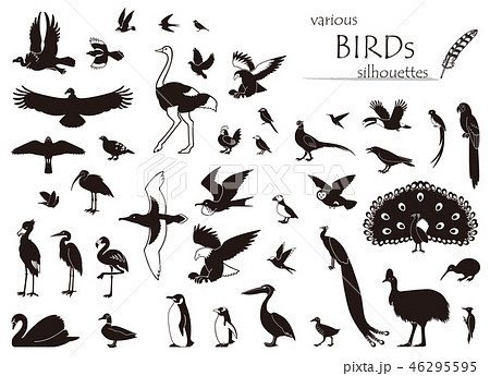 鳥のシルエット素材集のイラスト素材