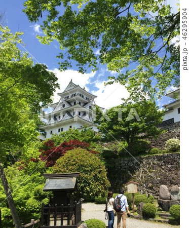 新緑の郡上八幡城 新緑の郡上八幡城 46295904