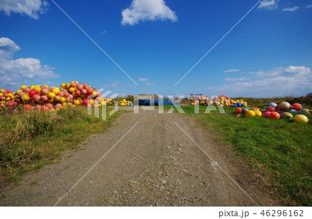 未舗装路と浮き玉 46296162