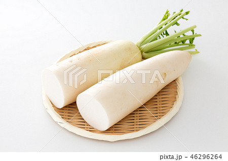 大根 46296264