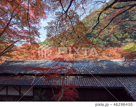 牛滝山 大威徳寺 紅葉 46296430