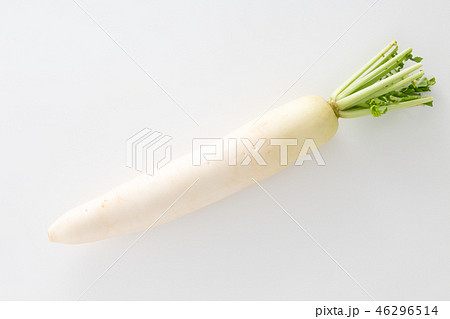大根 大根 46296514