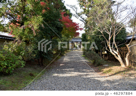 海龍王寺 参道 海龍王寺 参道 46297884