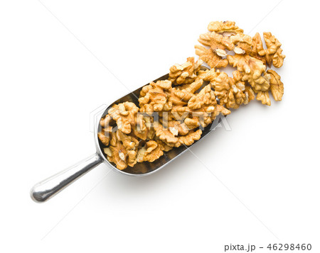 The walnut kernels. 46298460