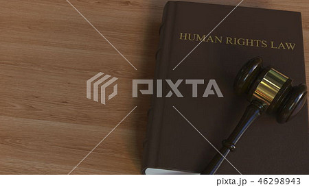 Court gavel on HUMAN RIGHTS LAW book. Conceptual 3D rendering 46298943