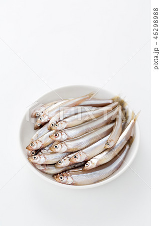 ワカサギ ワカサギ 46298988