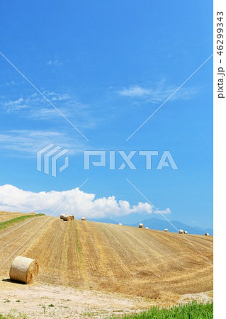 北海道 夏の青空と牧草ロールのある風景 北海道 夏の青空と牧草ロールのある風景 46299343