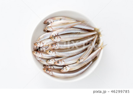 ワカサギ ワカサギ 46299785