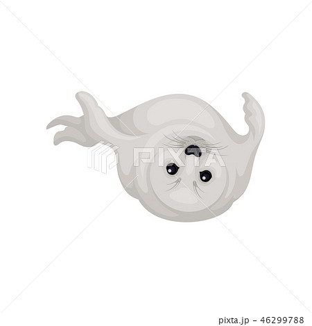 Adorable white seal lying upside down with flippers up. Cute marine mammal. Arctic animal. Flat 46299788