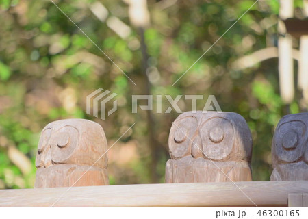鷲子山神社 鷲子山神社 46300165