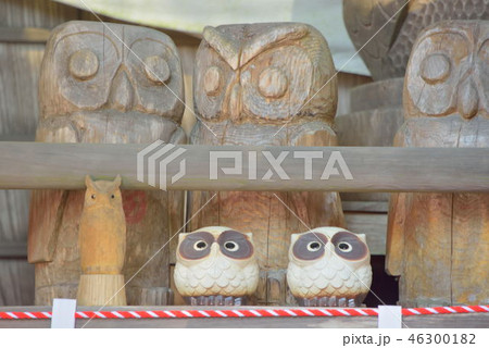 鷲子山神社 46300182
