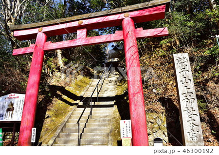 鷲子山神社 鷲子山神社 46300192