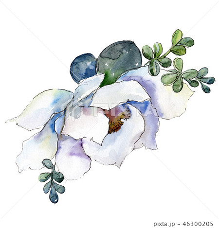 White flower bouquet. Watercolor background illustration set. Watercolour drawing fashion aquarelle White flower bouquet. Watercolor background illustration set. Watercolour drawing fashion aquarelle 46300205