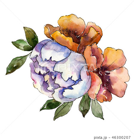 Red and white flower bouquet. Watercolor background illustration set. Watercolour drawing fashion 46300207