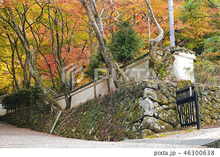 牛滝山　大威徳寺の紅葉 46300638