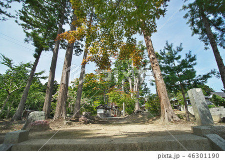 甲子神社 境内 甲子神社 境内 46301190