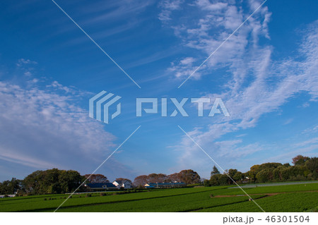 秋の空と畑 秋の空と畑 46301504