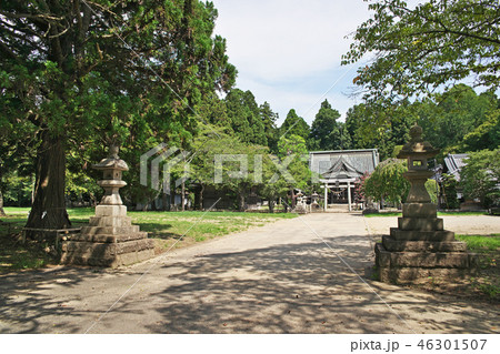 小高神社 境内 小高神社 境内 46301507