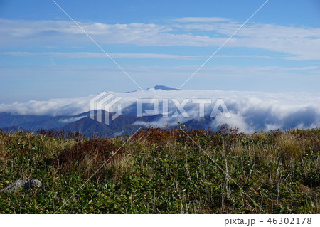 朝日連峰以東岳オツボ峰登山道から雲海に浮かぶ月山 46302178