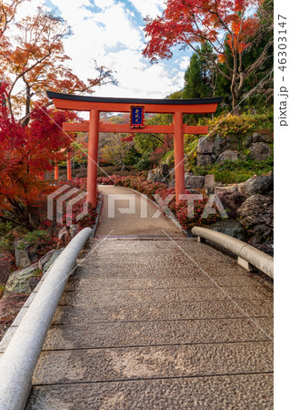 赤鳥居と紅葉 勝尾寺 46303147