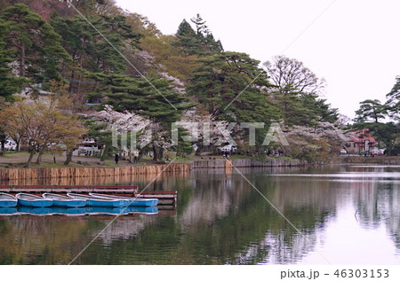 南湖公園 46303153