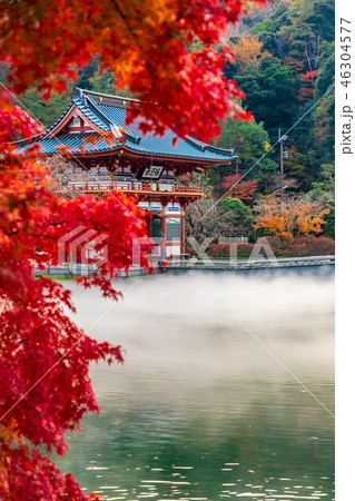 山門と赤く染まる紅葉 山門と赤く染まる紅葉 46304577