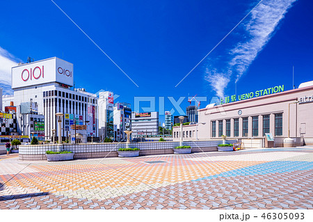 東京　上野駅　正面玄関口周辺 46305093
