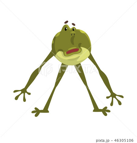Bewildered frog, funny amfibian animal cartoon character vector Illustration on a white background Bewildered frog, funny amfibian animal cartoon character vector Illustration on a white background 46305106