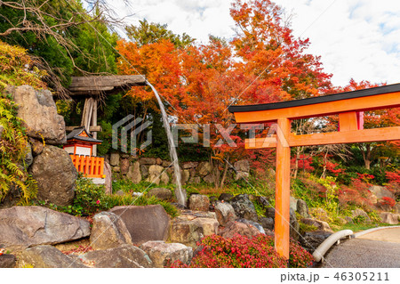 勝尾寺 行場の滝と紅葉 勝尾寺 行場の滝と紅葉 46305211