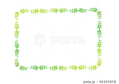 葉っぱのフレーム＿新緑イメージ、ヤマウルシの葉 46305958