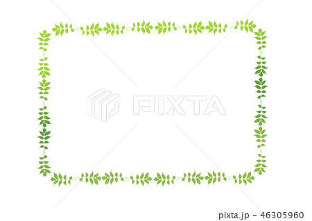 葉っぱのフレーム＿新緑イメージ、ヤマウルシの葉 46305960