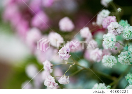 ヨーロッパ 欧州 イタリア語 46306222