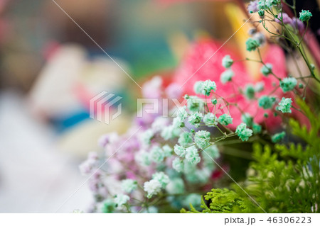 野生の花 野草 野花 46306223
