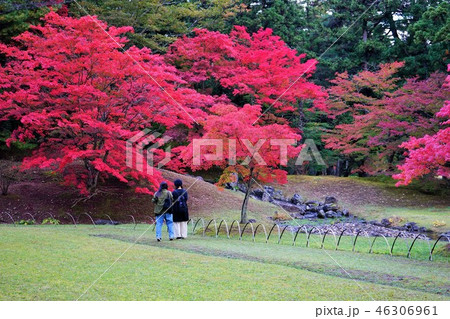 秋の毛越寺 秋の毛越寺 46306961