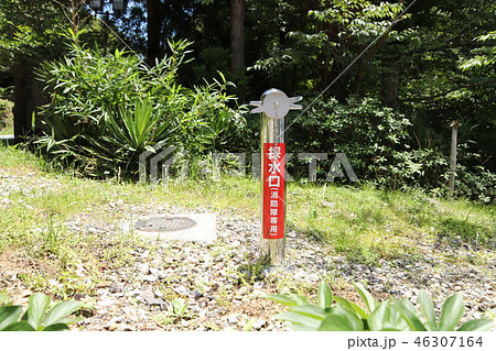 消防用の採水口 消防用の採水口 46307164