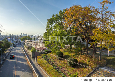 愛知県 名古屋市 茶屋ヶ坂公園の紅葉 愛知県 名古屋市 茶屋ヶ坂公園の紅葉 46307336