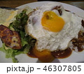 ロコモコ 46307805