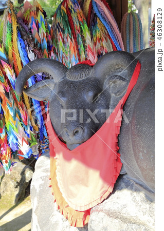 牛嶋神社　東京都墨田区向島　 46308129