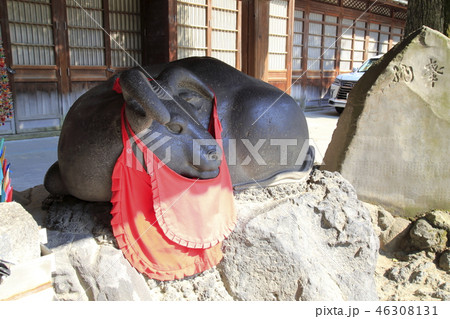 牛嶋神社 東京都墨田区向島 牛嶋神社 東京都墨田区向島 46308131