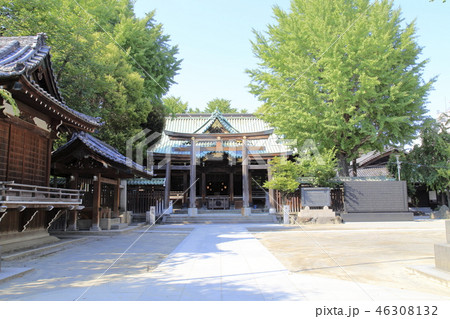 牛嶋神社　東京都墨田区向島　 46308132