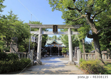 牛嶋神社　東京都墨田区向島　 46308135